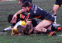 FieldOliver-Try2-11-0224