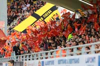 Catalans-Fans2-22-0419