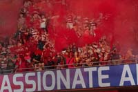 Catalans-Supporters14-30-0825