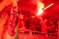 Catalans-Supporters5-30-0825