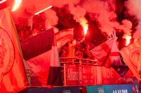 Catalans-Supporters7-30-0825