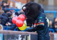 BradfordBulls-Mascot1-24-0126jh