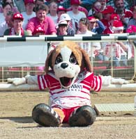 StHelens-Mascot_961228