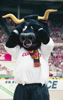 BullMan_973435